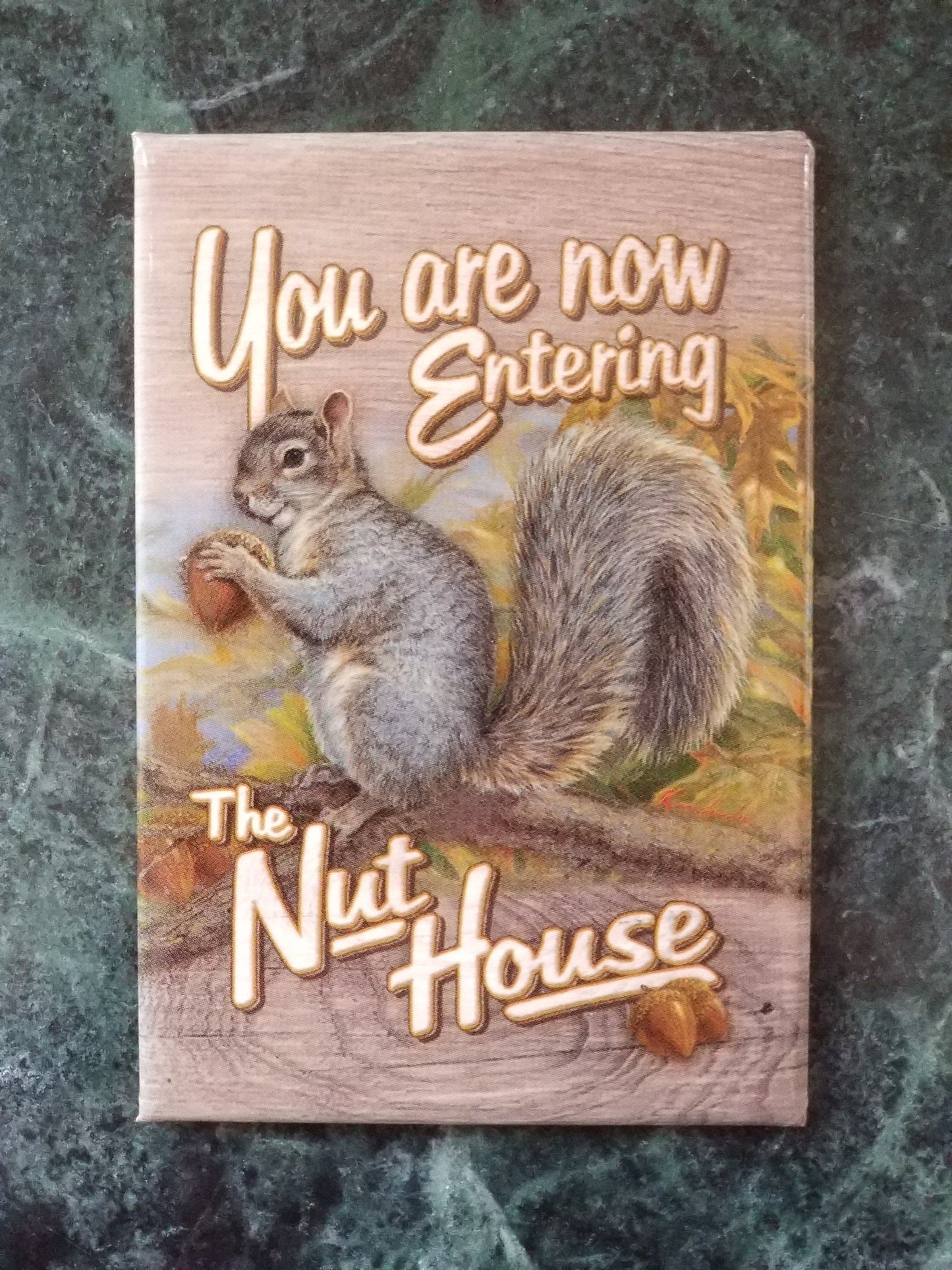 You Are Now Entering The Nut House on a 2x3 Refrigerator Magnet with Glossy Finish.A Funny Gift For Mom or Dad.