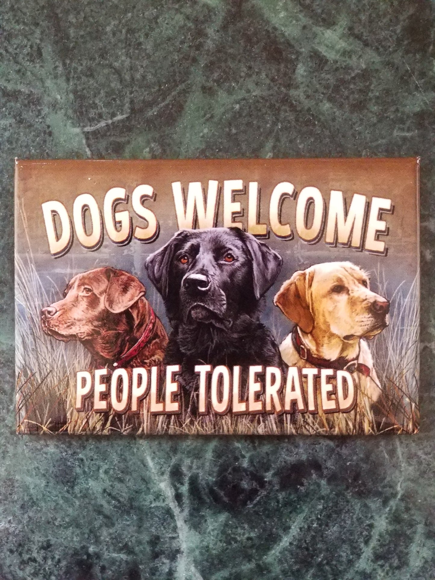 Dogs Welcome,People Tolerated on a Refrigerator Magnet,Steel Magnet with Glossy Finish. A Funny Gift For Mom or Dad.