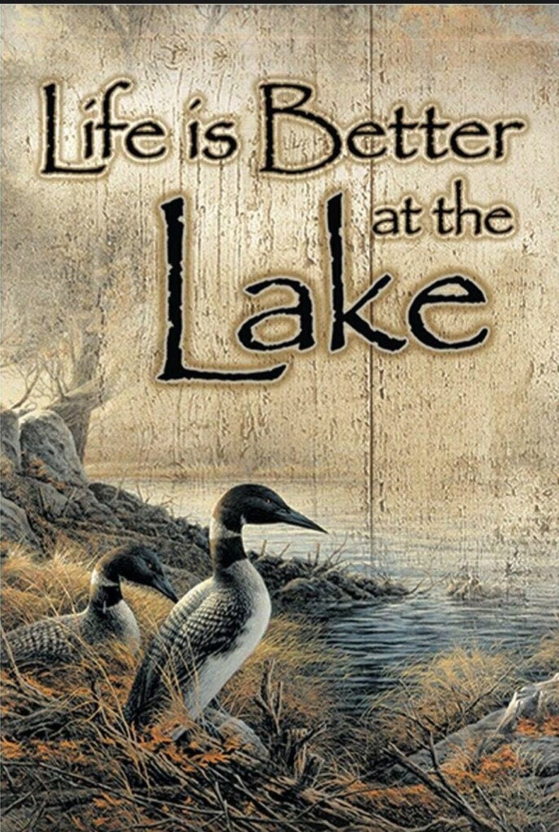 Life is Better at The Lake, The Lake Life on a 2x3 Refrigerator Magnet with Glossy Finish.Quality Steel Construction.A Gift For Him or Her.