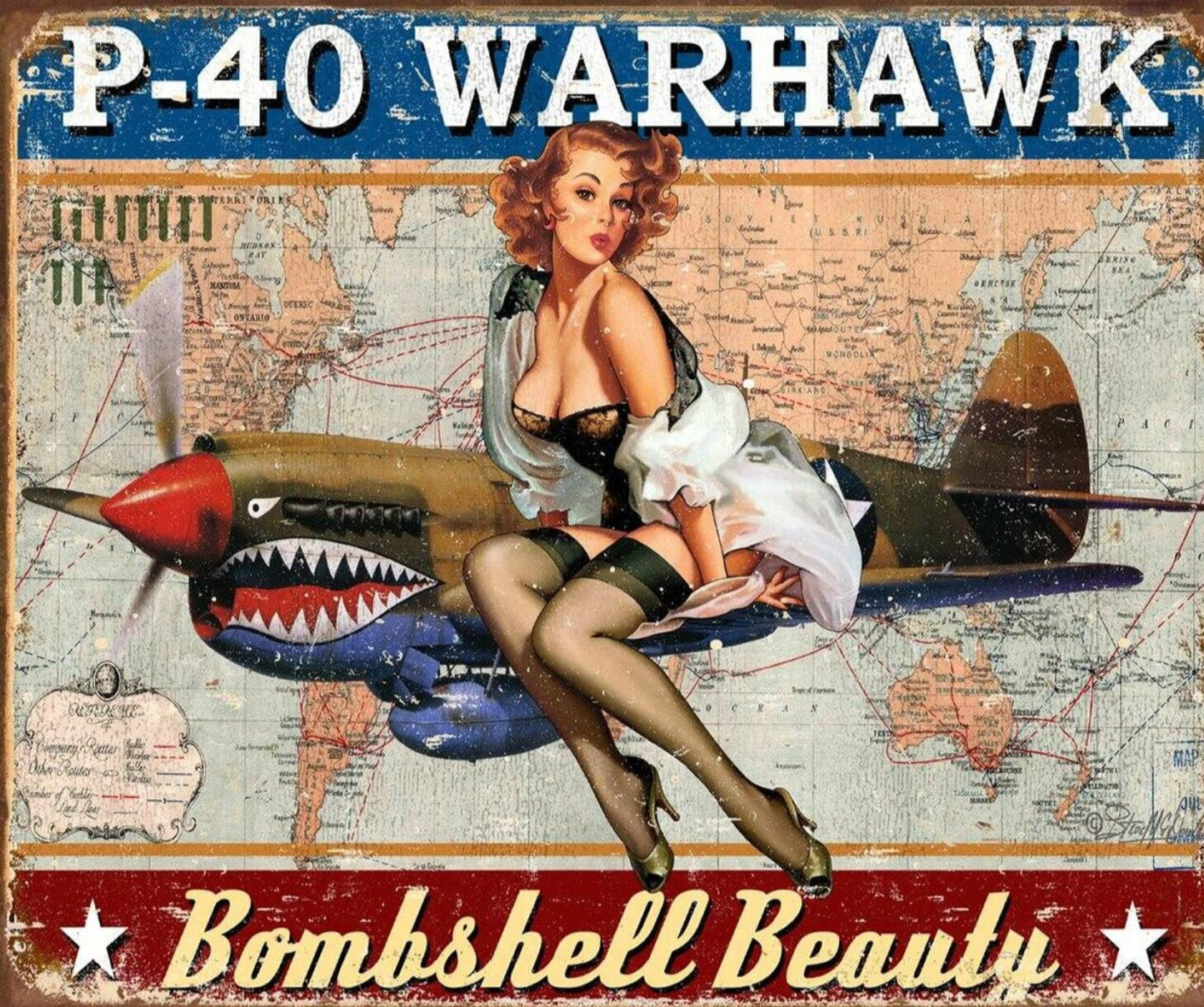 P-40 Warhawk Vintage Aircraft  on a 16”W x 12.5”H Tin Sign.This Quality Sign Has A Smooth Clear Coat Finish.