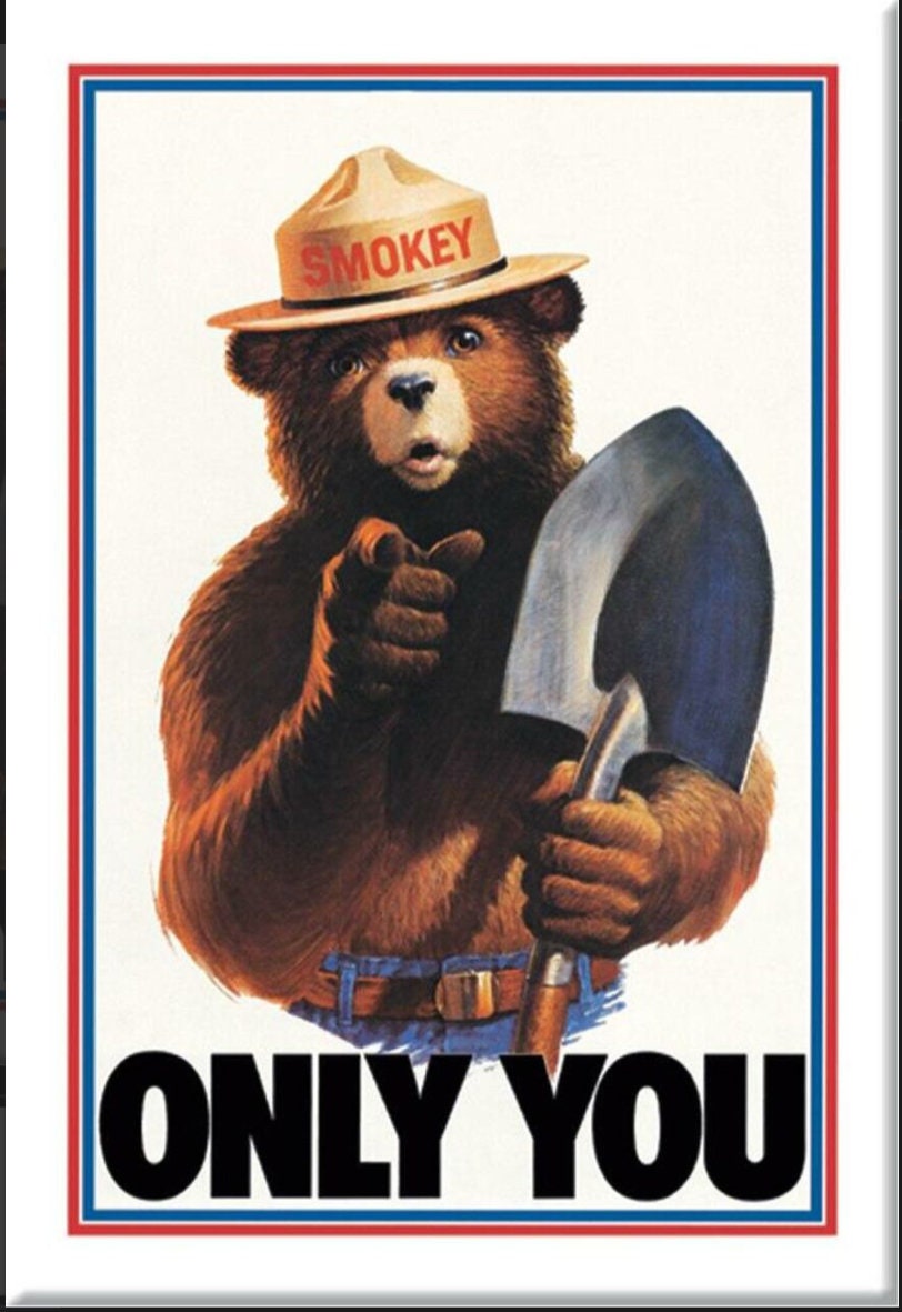 Smokey The Bear,Only You Can Prevent Forest Fires on a 2x3 Refrigerator Magnet with Glossy Finish.A Nice Gift For Mom or Dad.