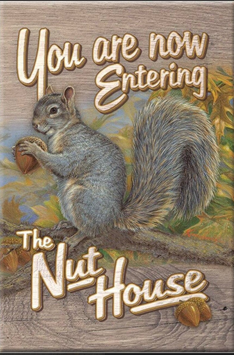 You Are Now Entering The Nut House on a 2x3 Refrigerator Magnet with Glossy Finish.A Funny Gift For Mom or Dad.