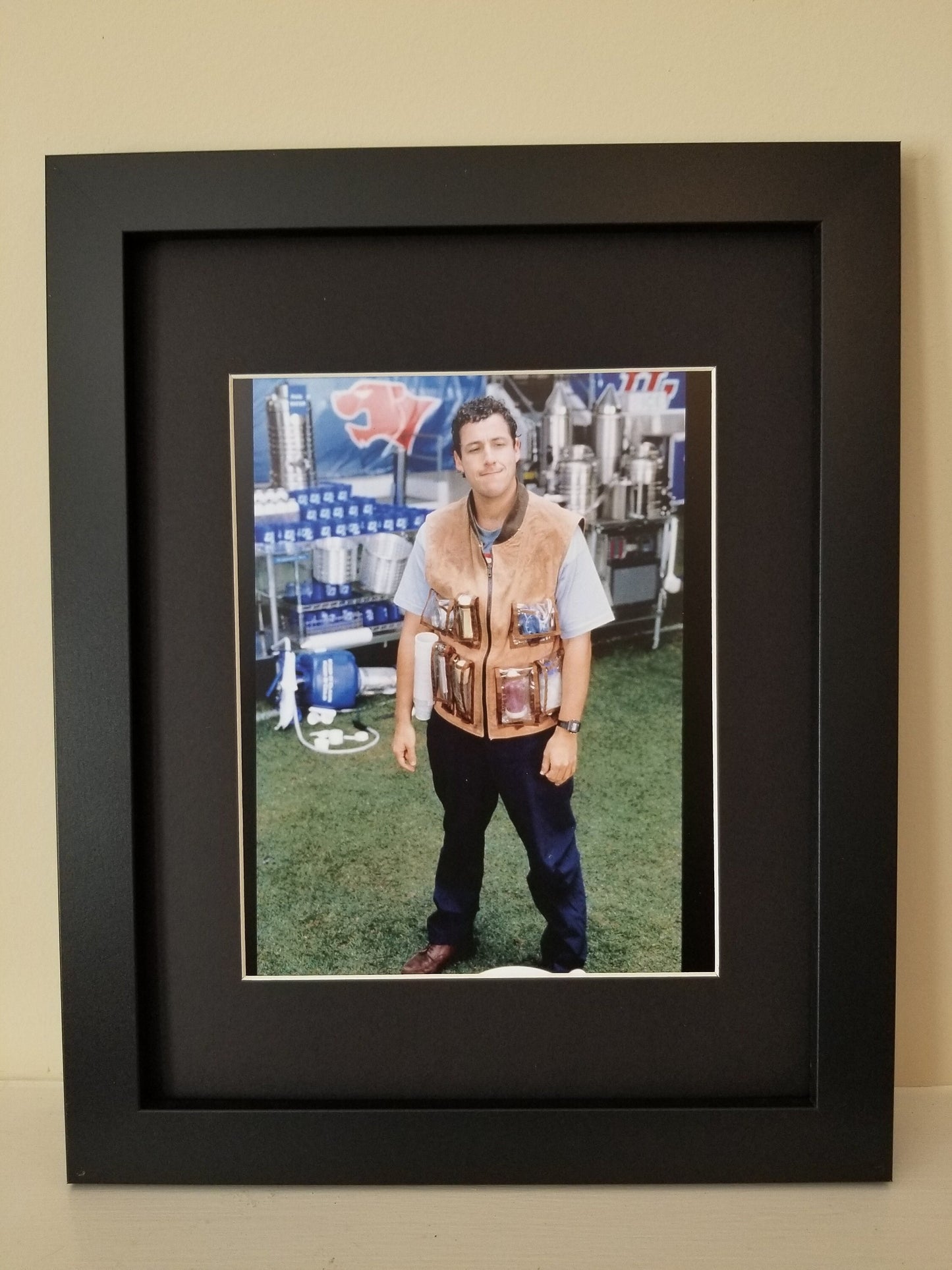 The Waterboy Unframed 8x10 Color Photo. Printed on High Gloss Photo Paper.