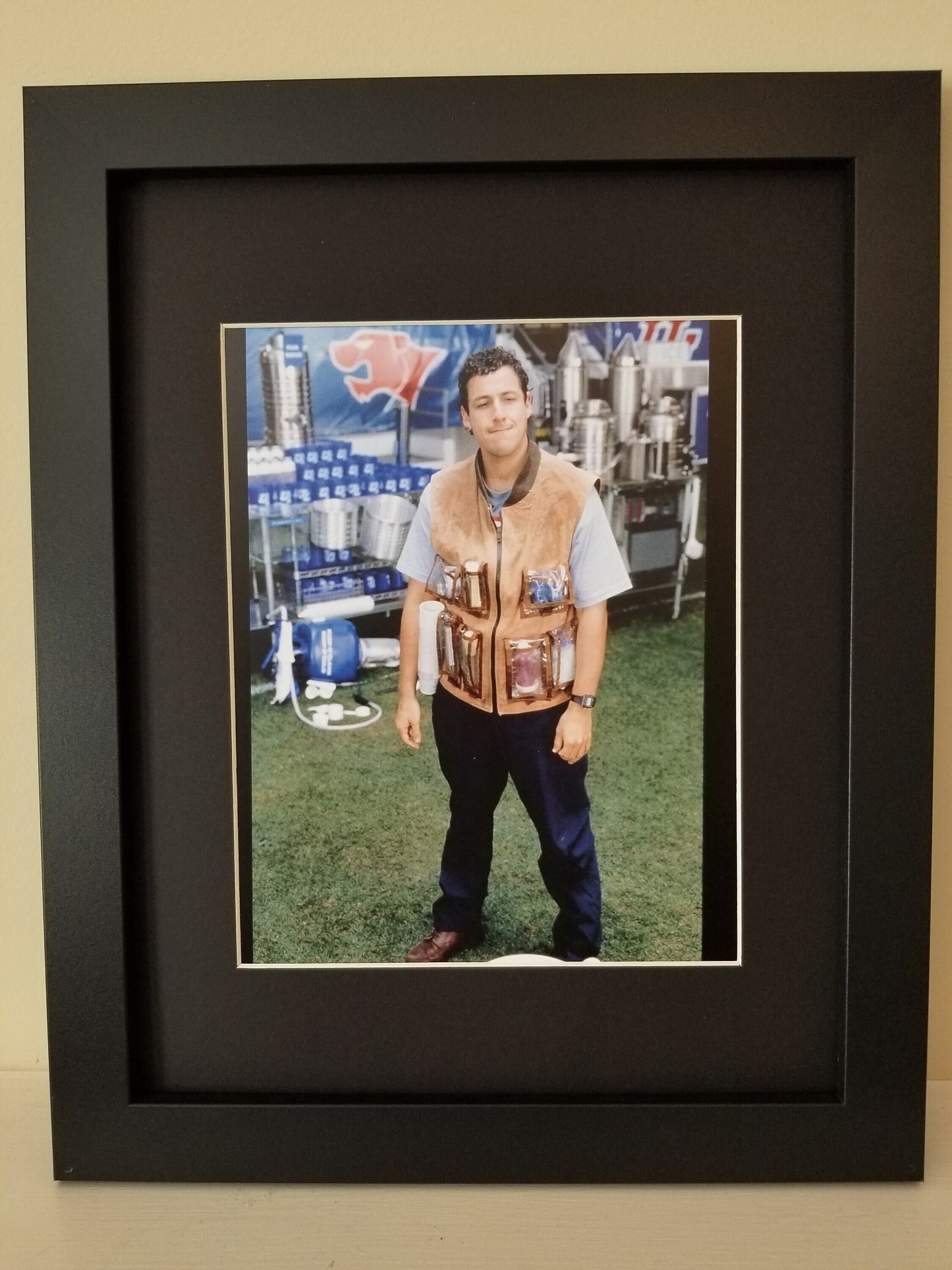 The Waterboy Unframed 8x10 Color Photo. Printed on High Gloss Photo Paper.