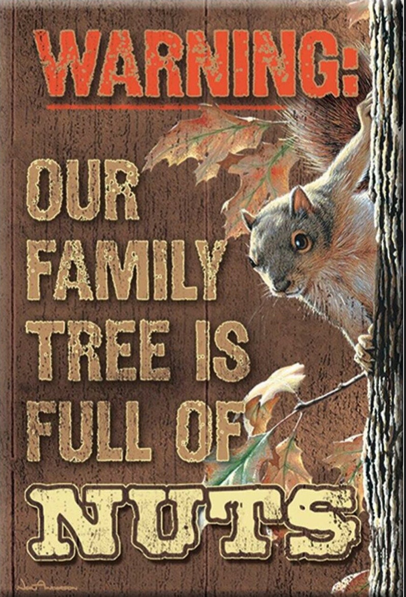 Warning Our Family Tree Is Full of Nuts on a 2x3 Refrigerator Magnet with Glossy Finish.Quality steel construction