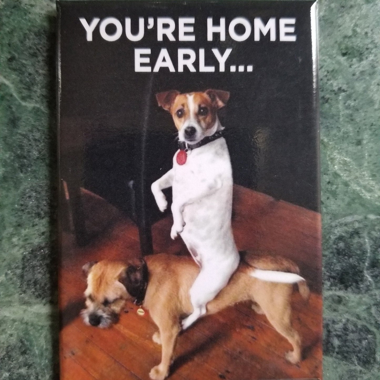 Youre Home Early,A Funny 2x3 Refrigerator Magnet. A Gift for Him or Her.