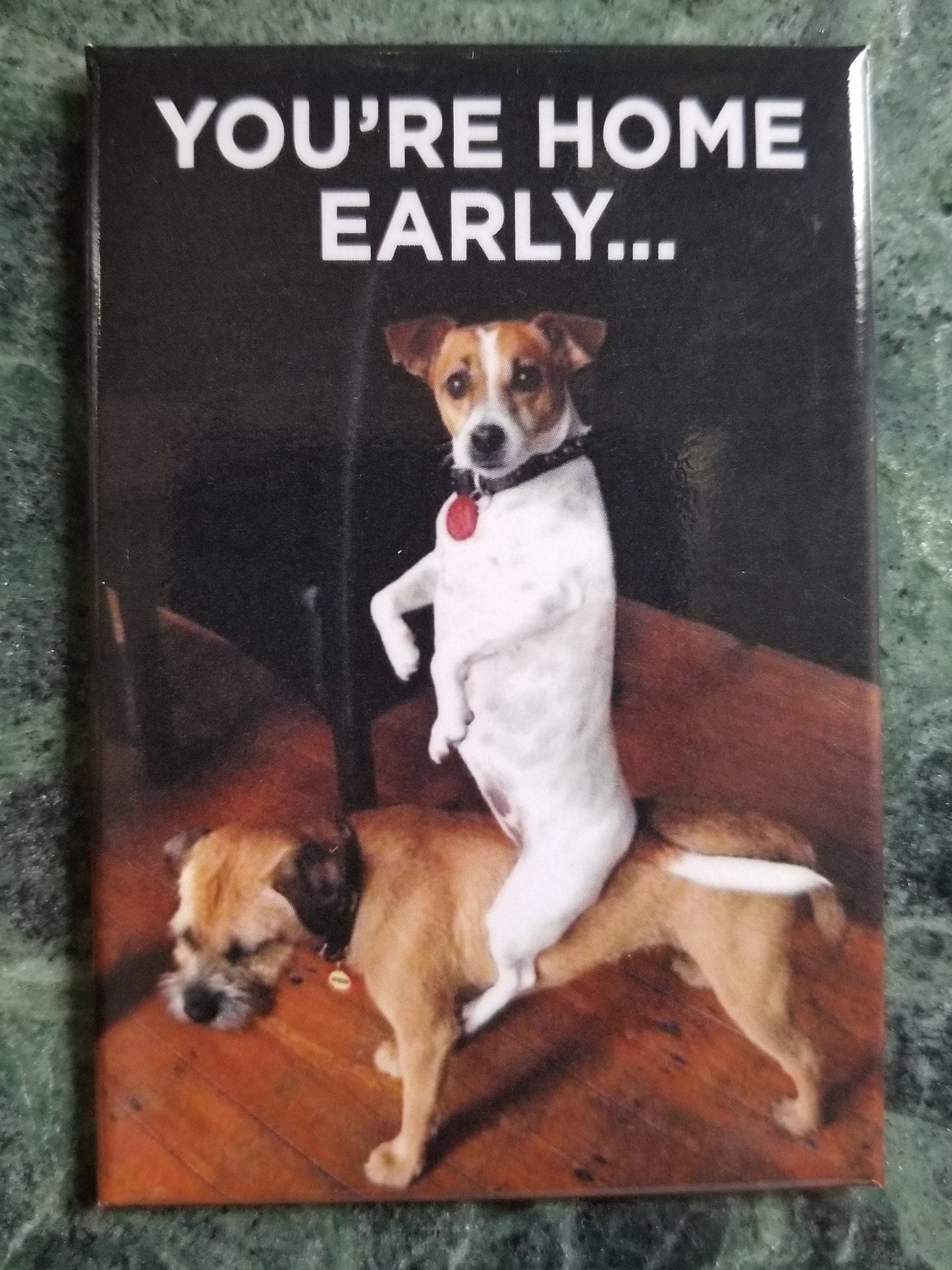 Youre Home Early,A Funny 2x3 Refrigerator Magnet. A Gift for Him or Her.