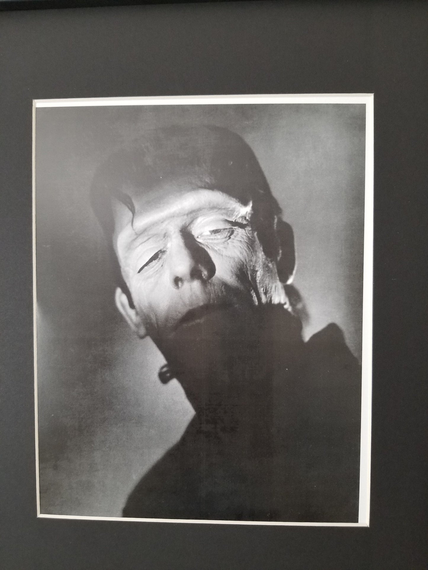 Frankenstein Unframed 8x10 Photo. Printed on High Gloss Card Stock.