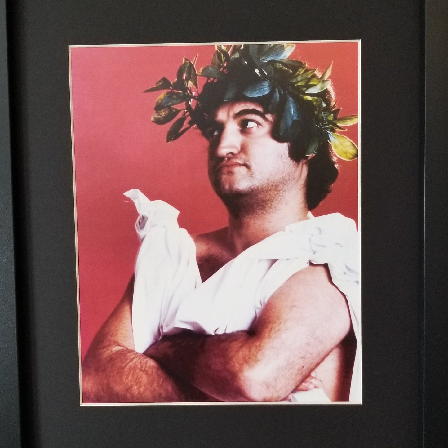 John Belushi of Animal House Unframed 8x10 Photo.Printed on High Gloss Card Stock.