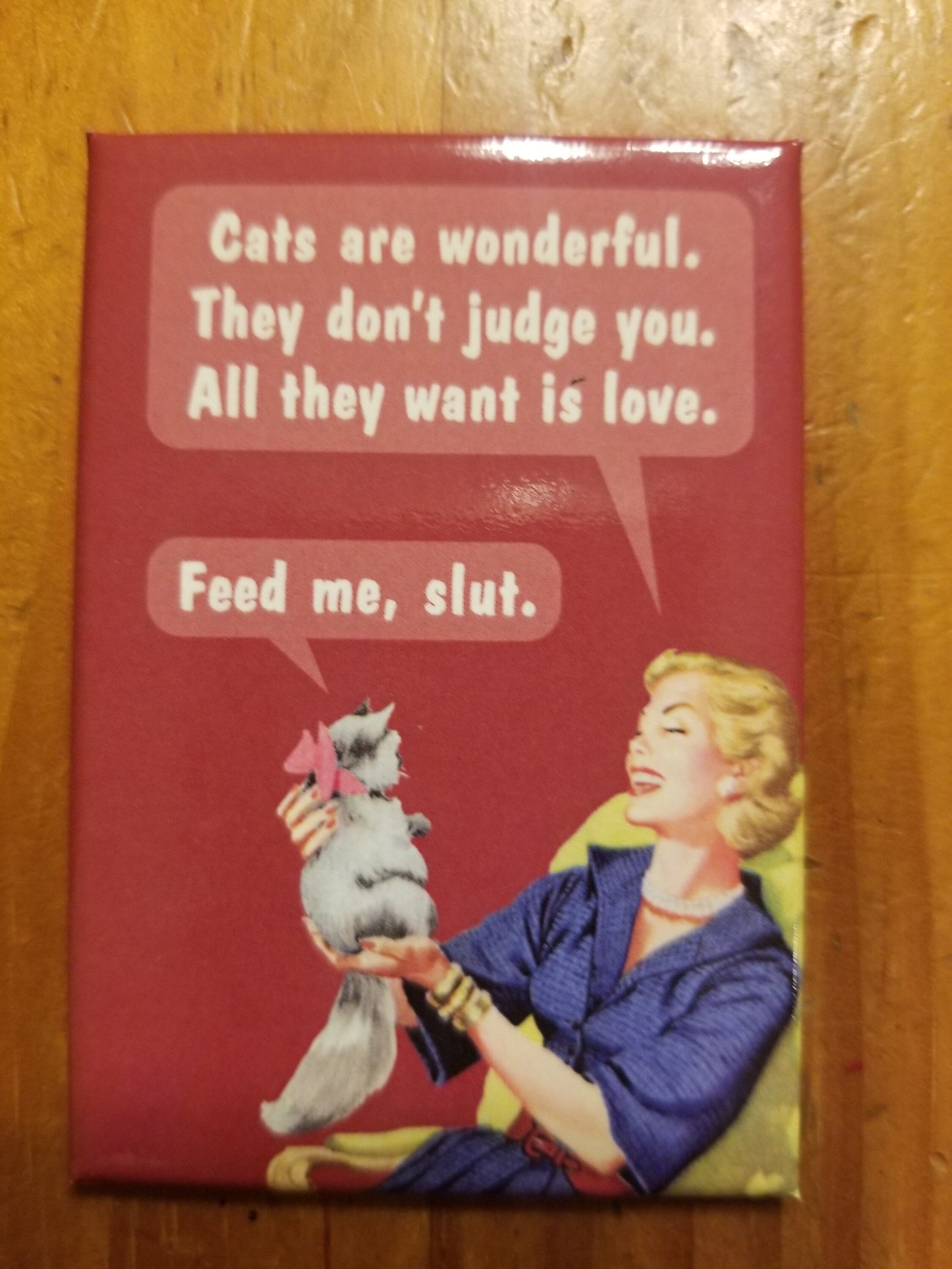 Cats Are Wonderful They Dont Judge You a Funny 2x3 Refrigerator Magnet with Glossy Finish .Great Stocking Stuffer.