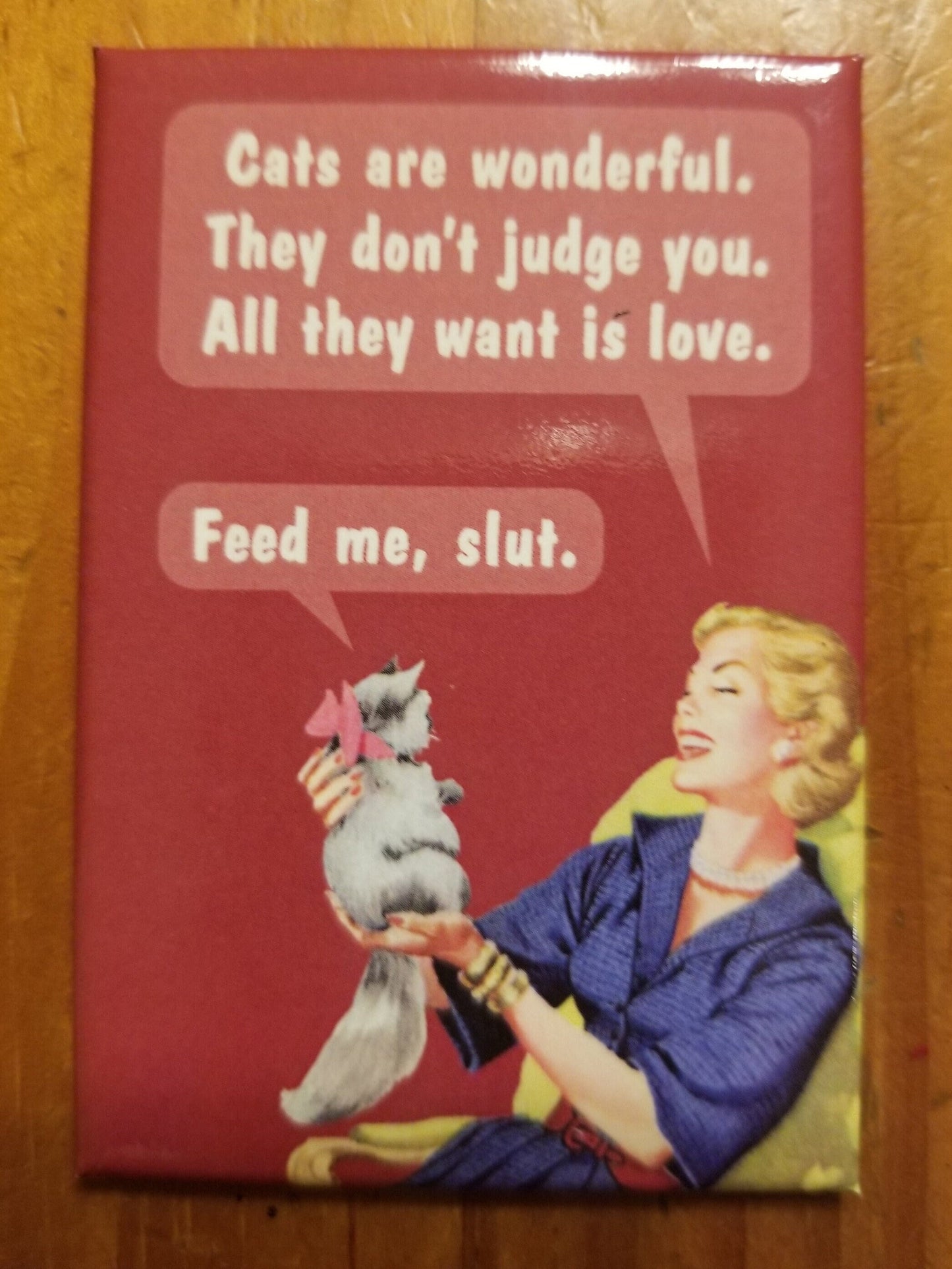 Cats Are Wonderful They Dont Judge You a Funny 2x3 Refrigerator Magnet with Glossy Finish .Great Stocking Stuffer.