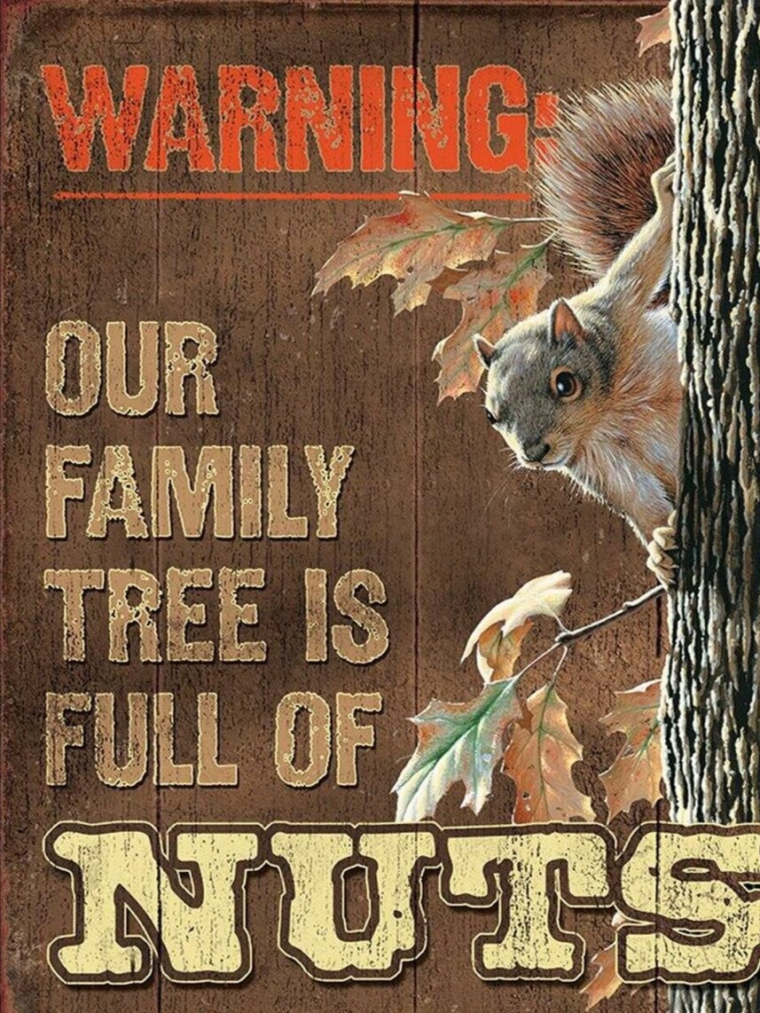 Our Family Tree is Full of Nuts,all on a 12.5” W x 16” H Tin Sign.This Sign Has A Smooth Clear Coat Finish.A Gift For Him or Her.