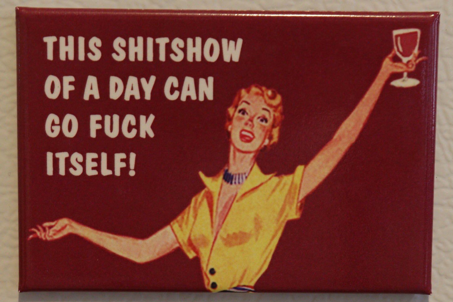 This Shitshow of a Day Can Go Fuck Itself on A  a 2x3 Refrigerator Magnet with Glossy Finish,steel construction.A Gift For Him or Her.