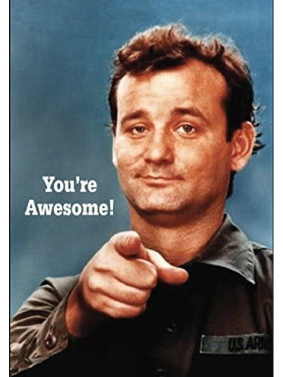 You’re Awesome Words From Bill Murray on a 2x3 Steel Refrigerator Magnet with Glossy Finish.Gift For Him or Her.