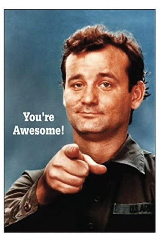 You’re Awesome Words From Bill Murray on a 2x3 Steel Refrigerator Magnet with Glossy Finish.Gift For Him or Her.