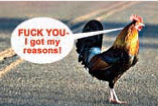 Chicken Who Crossed The Road,Fuck You I Got My Reasons on a  2x3 Refrigerator Magnet with Glossy Finish. Gift For Him or Her