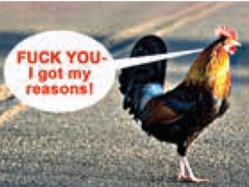 Chicken Who Crossed The Road,Fuck You I Got My Reasons on a  2x3 Refrigerator Magnet with Glossy Finish. Gift For Him or Her