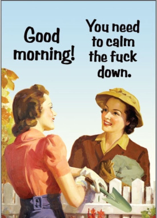 Good Morning You Need To Calm The Fuck Down a Funny 2x3 Refrigerator Magnet with Glossy Finish.A Gift For Him or Her.