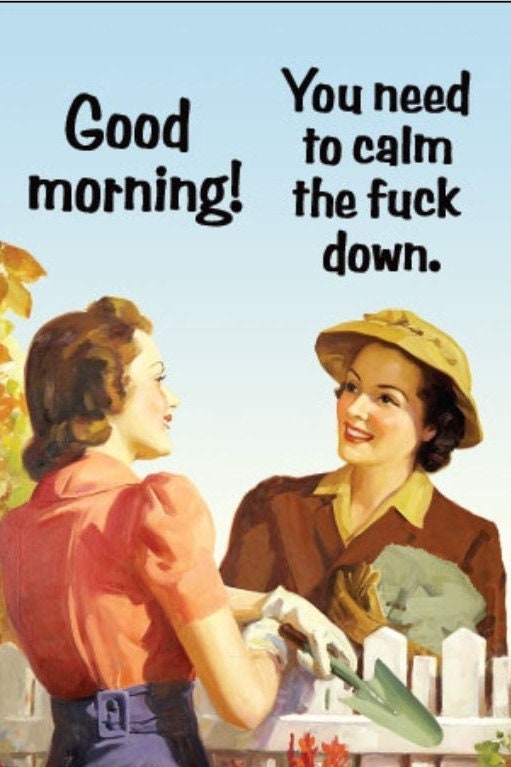 Good Morning You Need To Calm The Fuck Down a Funny 2x3 Refrigerator Magnet with Glossy Finish.A Gift For Him or Her.