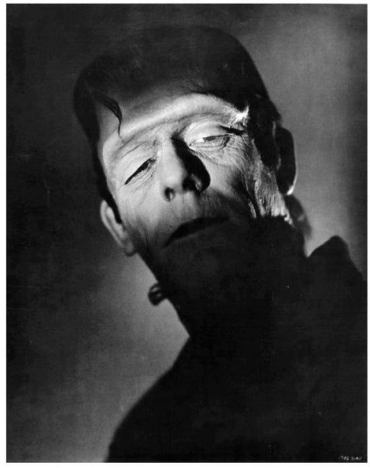 Frankenstein Unframed 8x10 Photo. Printed on High Gloss Card Stock.