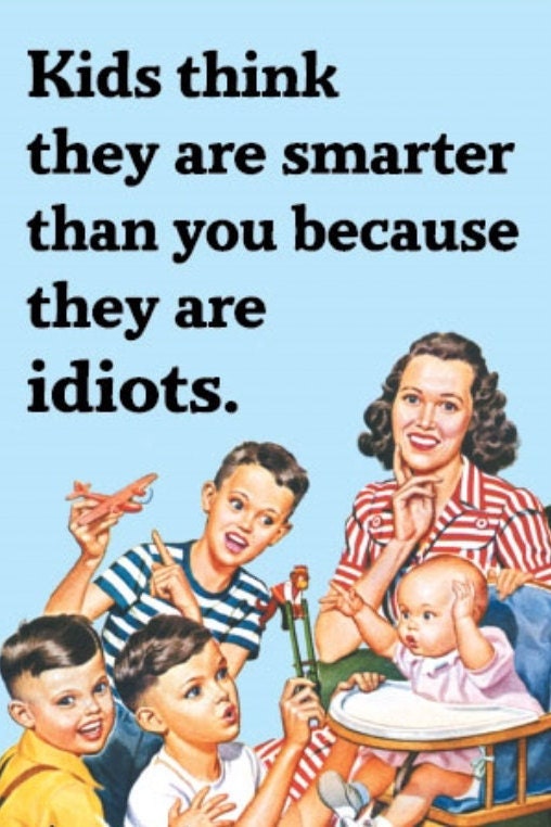 Kids Think They Are Smarter Than You Because They Are Idiots on a  2x3 Refrigerator Magnet with Glossy Finish..