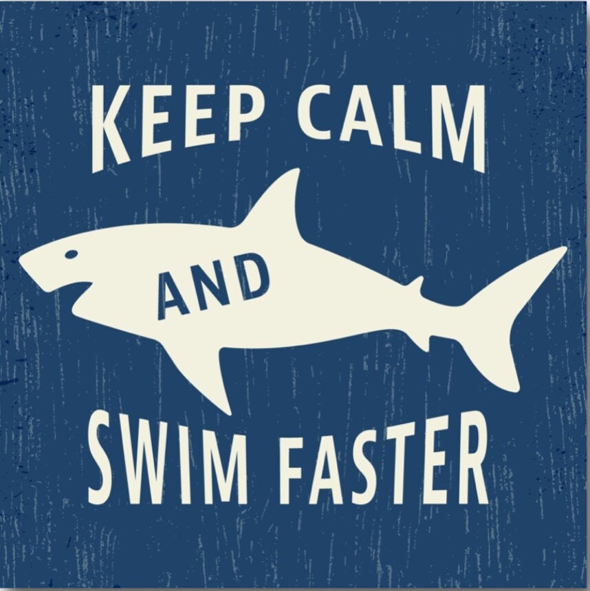 Keep Calm And Swim Faster on a 3” Square Metal Magnet.Funny Shark Fridge Magnet With Glossy Finish.A Gift For Him or Her